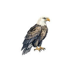 Naklejka premium Watercolor illustration of a USA bald eagle