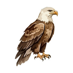 Fototapeta premium Watercolor illustration of a USA bald eagle