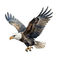 Obraz premium Watercolor illustration of a USA bald eagle