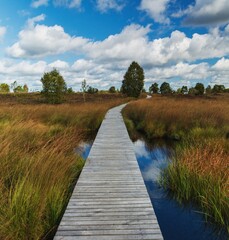 Obraz premium Photograph taken from a wooden boardwalk crossing the moorland of the High Fens.
