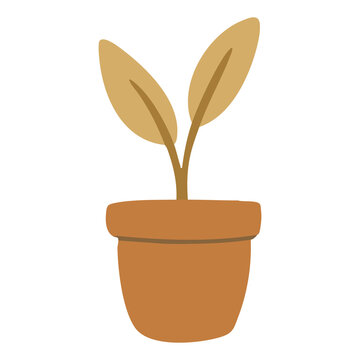 Potted Indoor Plant Icon