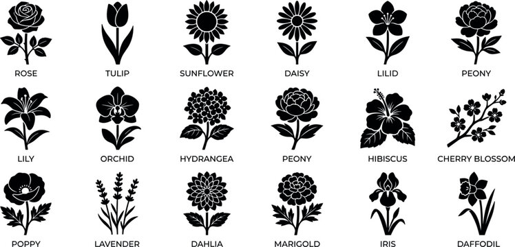 Floral silhouette stencil emblem set with text labels featuring rose tulip sunflower orchid lily peony hydrangea dahlia iris and daffodil black vector shapes.