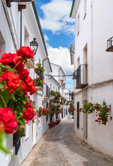Fototapeta premium Charming Spanish cobblestone alleyway in Andalusia, adorned with vibrant red flowers and white stucco walls.