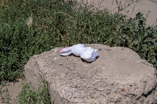 A lost baby rubber rabbit toy