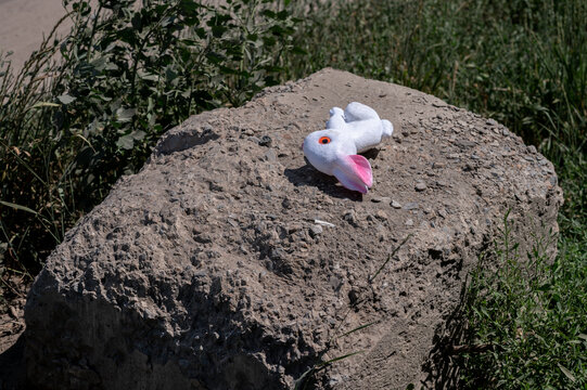 A lost baby rubber rabbit toy