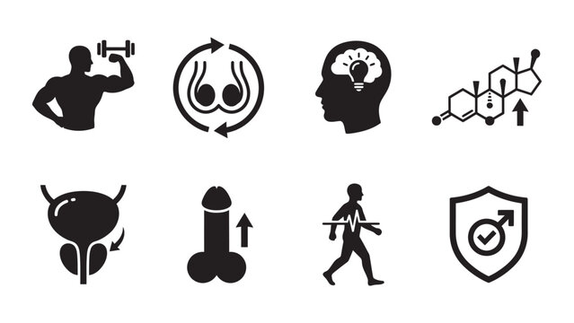 Set of Male Health and Anatomy Icons Representing Reproductive Wellness and Fitness.