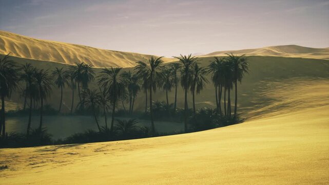Sun drenched oasis framed by palms, intense golden light and high contrast shadows, rugged dune contours and bright highlights conveying heat and resilience,