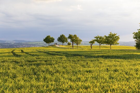 Rockauer H&ouml;he vantage point (Sachsens Hiefel) is located far above the Elbe Valley and offers a view over Dresden and the Elbe Valley as far as the Eastern Ore Mountains, Rockau, Dresden, Saxony, Germany