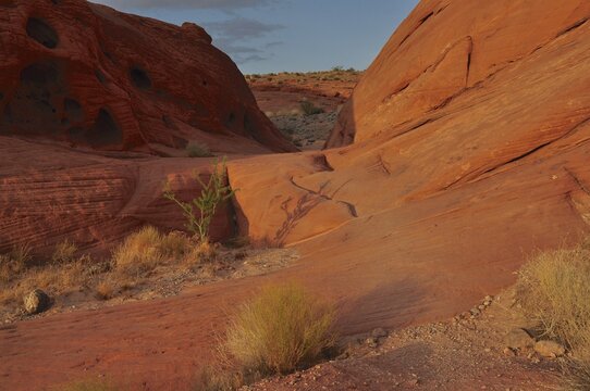 Red rocks with sparse vegetation illuminated by warm evening sun, Valley of Fire State Park, Nevada, USA