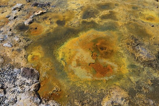 Volcanic, mineral-rich landscape of yellow and orange earth tones with textured surface, geothermal area, rainbow rocks Tuzla, Ayvacık, Ayvacik, &Ccedil;anakkale, Canakkale, Turkey