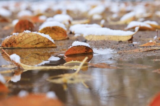 Nature in winter, Germany