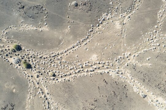 Dried up rivers after years of drought, overgrown with resistant shrubs, aerial view, drone image, Damaraland, Kunene region, Namibia.