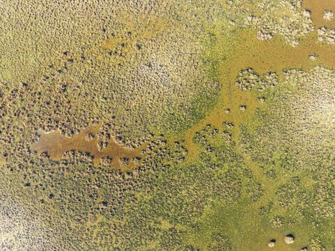 Detail of marshland near Sanl&uacute;car de Barrameda. Aerial view. Drone shot. C&aacute;diz province, Andalusia, Spain