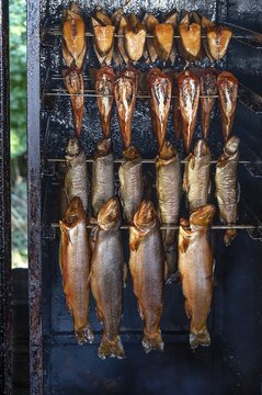 Different types of fish in a smoker, Ahrenshoop, Dar&szlig;, Mecklenburg-Western Pomerania, Germany