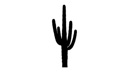 Desert Silhouette: A striking silhouette of a saguaro cactus stands tall against a clean white background, representing the iconic flora of arid landscapes. © Ahsan