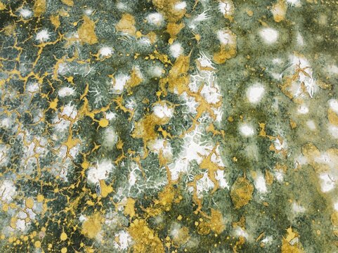 Abstract patterns in the shallow water of a saline pond in the marshland of the Bah&iacute;a de C&aacute;diz Nature Reserve. Aerial view. Drone shot. C&aacute;diz province, Andalusia, Spain