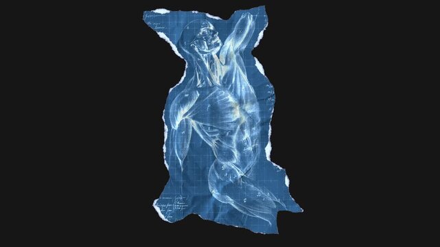 A drag and drop vintage anatomical themed blueprint that animates into place from torn paper.
