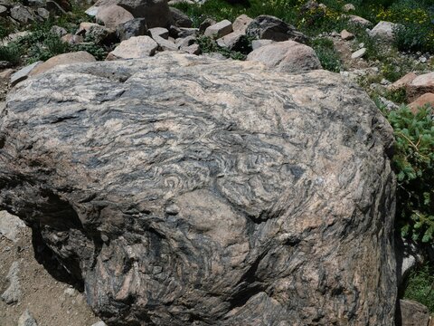 Migmatitic Gneiss Boulder on the Shore of Lake Isabelle, Indian Peaks Wilderness, Colorado