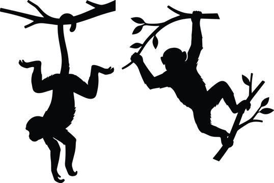 Monkey silhouettes hanging upside down by tail and climbing on tree branches isolated on white background