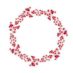 Fototapeta premium Watercolor christmas wreath made of red winter berry branch. Hand drawn festive holiday botanical circle frame isolated on element background. Detailed beautiful artwork design item.