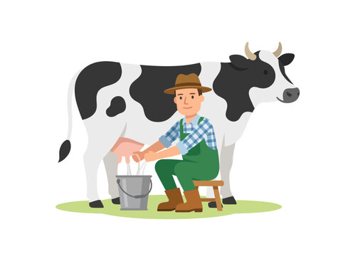 A farmer milks a black and white cow sitting on a stool outdoors
