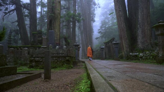 Misty Okunoin, Koyasan &ndash; Wakayama, Japan　「霧の高野山奥之院」和歌山県高野町