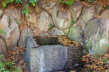 Stone water basin with floating leaves and a tiny varied tit perched on the edge at the Imperial Palace East Gardens December 2023 © shingamiquarter17