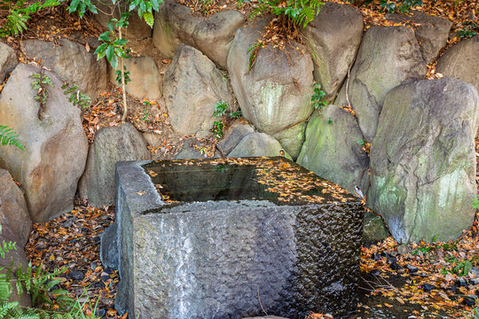 Stone water basin with floating leaves and a tiny varied tit perched on the edge at the Imperial Palace East Gardens December 2023