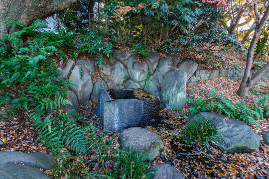 Traditional stone water basin quietly resting in the lush green shade at the Imperial Palace East Gardens December 2023