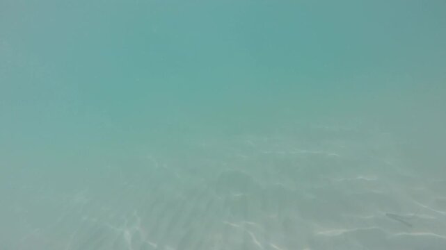 Underwater view of a rippled sandy seabed beneath crystal clear turquoise water with shimmering sunlight caustics