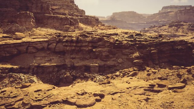 Arid plateau and canyon ring with layered rims and sundrenched flats, scattered rocks and distant mesas under crisp pale sky conveying remote wilderness.