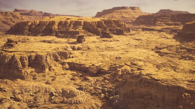 sunbaked canyon midday with botanist collecting specimens on sunbaked plateau, harsh glare, parched soil, mirage hints, rugged cliffs, expedition equipment