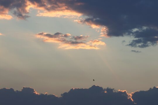 nuage et oiseau