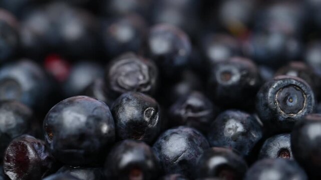 Fresh organic blueberries background.