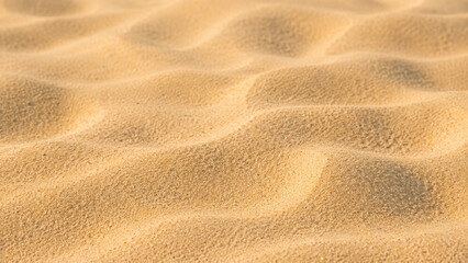 Golden Beach Sand Texture with Natural Wind Formed Ripples and Soft Sunlight Background. © Hanskie28