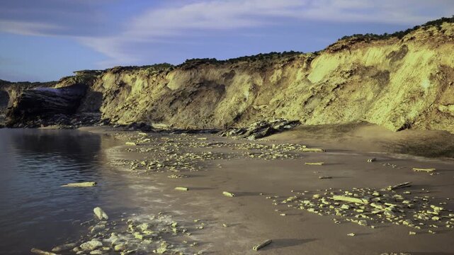 golden eroded cliff and muddy beach exposing strata and slump features useful for geologist documenting coastal erosion, field survey visuals,