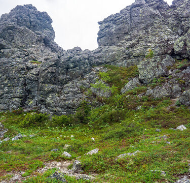 Mountain landscape with green grass, rocks and vegetation in summer.