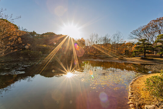 Brilliant sunburst reflecting on the pond surface at the Imperial Palace East Gardens in winter December 2023