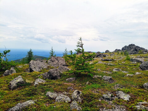 Mountain landscape. View from the top of the mountain plateau.