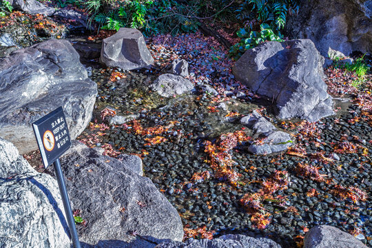 Colorful fallen leaves under the clear stream at Ninomaru Garden December 2023