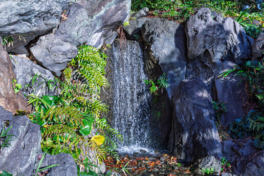 Waterfall flowing through solemn rock formations with winter sunlight at Ninomaru Garden December 2023