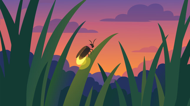 Clean flat vector illustration on a light background showing a glowing firefly among tall grass at sunset, suited for nature education, conservation, or summer promotions.