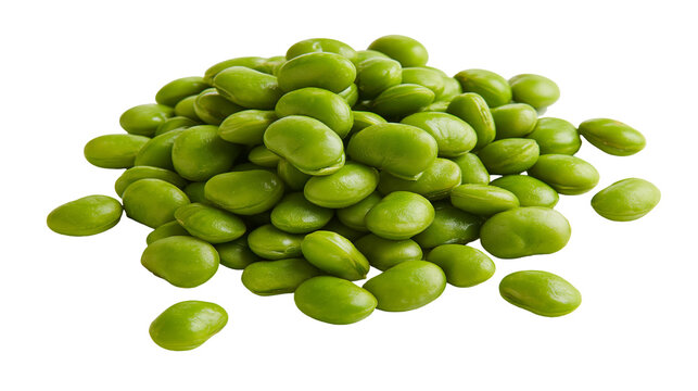 Pile of fresh green broad beans
