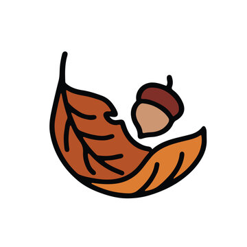 Dry season leaf and fruit vector