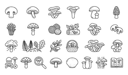 Forest Mushroom Line Icons Collection with Various Fungi Plants and Nature Botanical Symbols © MstNadiya