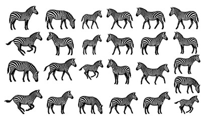 Zebra Silhouette Collection Featuring Standing Walking Grazing Running and Wildlife Animal Pose Illustrations © MstNadiya
