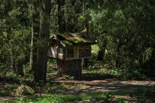 A large insect hotel between trees with a mossy roof.