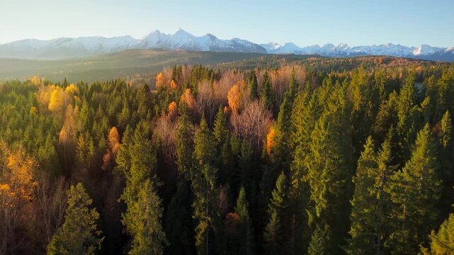 The breathtaking aerial view of beautiful nature in Tantra mountains in autumn