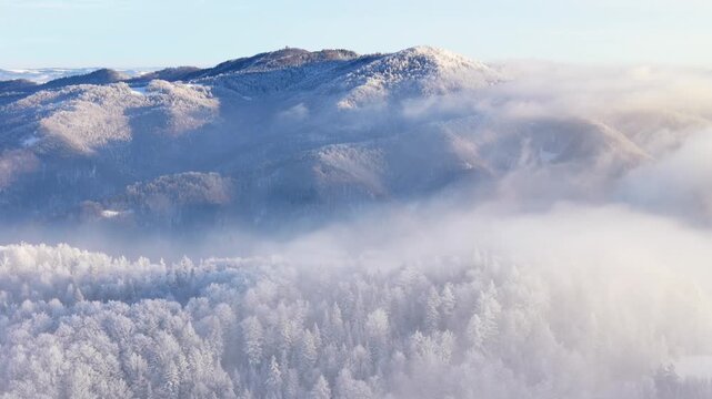Aerial view of a forest covered with frost on the mountain slopes