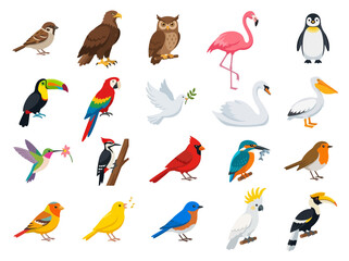 Fototapeta premium A diverse collection of colorful bird species illustrated in a flat vector style.